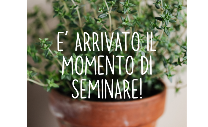 E’ arrivato il momento di seminare!