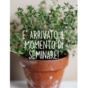 E’ arrivato il momento di seminare!