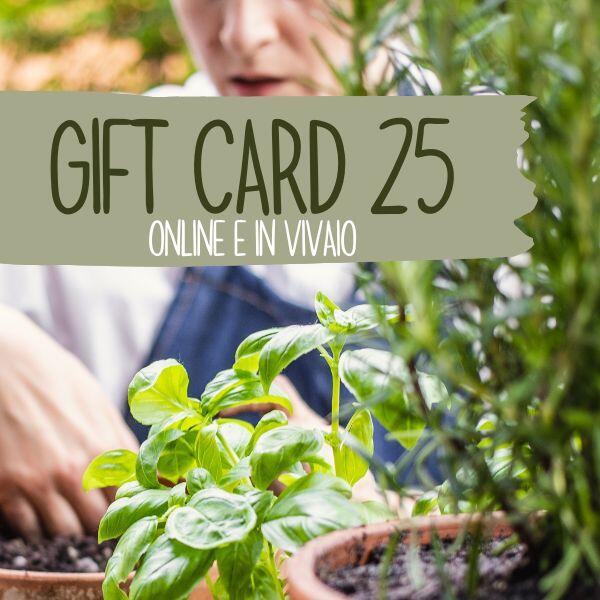 gift card 25