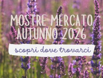 Mostre d’autunno: Settembre e Ottobre 2026