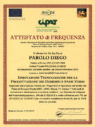 Geel Floricultura - Attestato Corso Parolo Diego