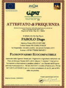 Geel Floricultura - Attestato Corso Parolo Diego