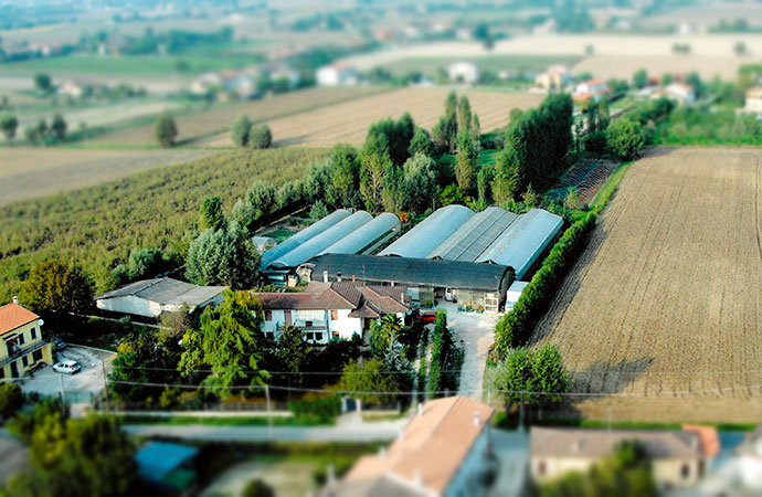 Geel Floriculture. Production propre et vente directe de plantes aromantiques, alimurgiques et mellifères. Prisons (Padoue)