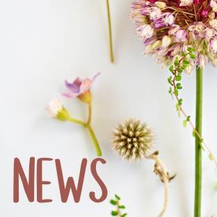 geel floricultura produzione e vendita piante aromatiche padova