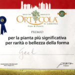 Riconoscimenti Geel Floricultura - Orticola 2015 Milano