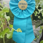 Riconoscimenti Geel Floricultura - Orticola 2015 Milano