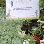 Riconoscimenti Geel Floricultura - Orticola 2015 Milano