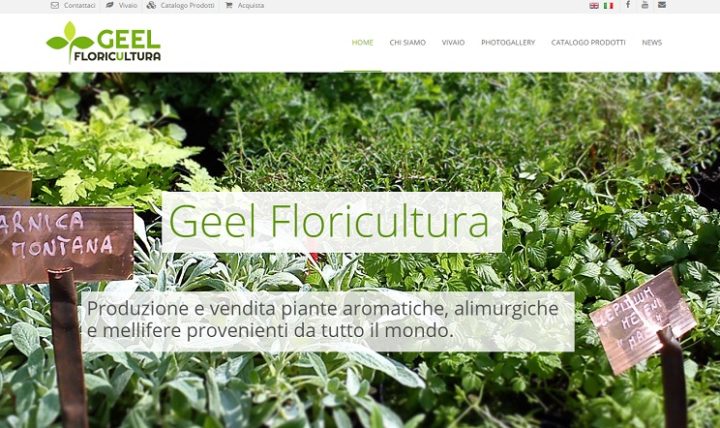 Ecco il nostro nuovo sito!