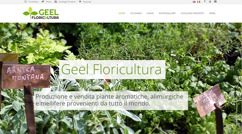 geel floriculture website